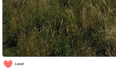mceclip2.png