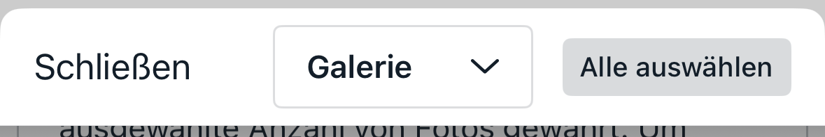 GalerieDE.png