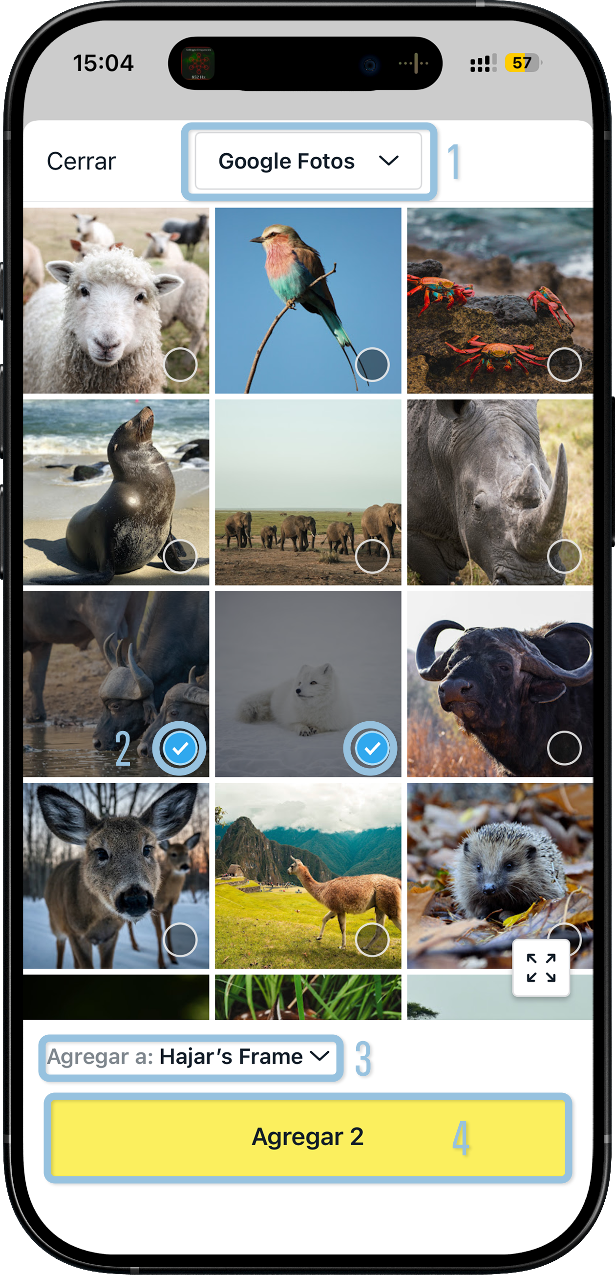 detailed overview ES 5.png