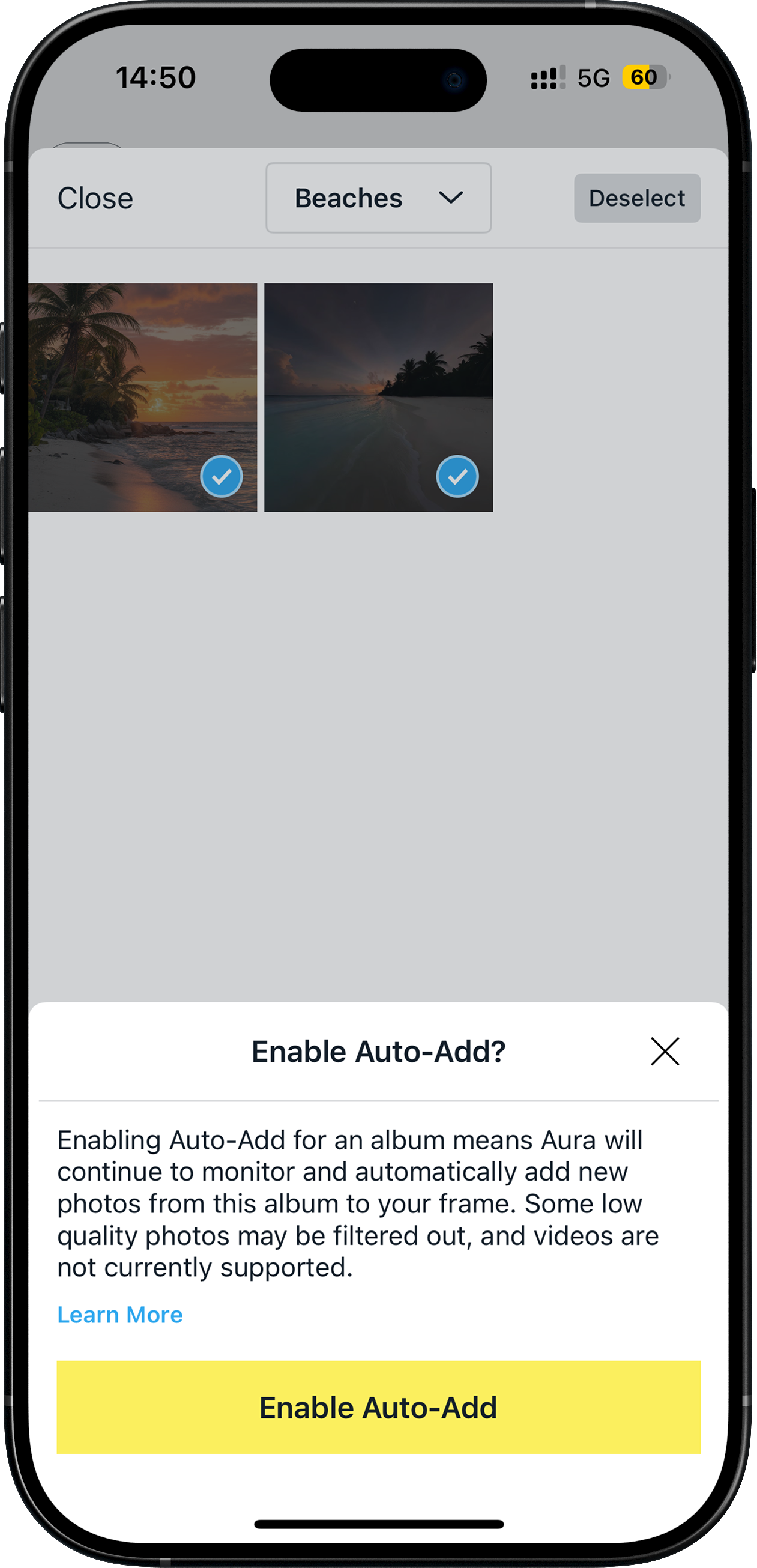 new auto add.png